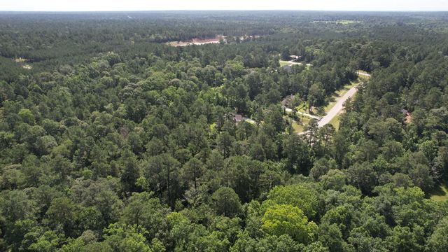 207 Sandpiper Drive, New Waverly, TX 77358