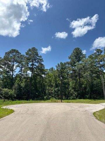 207 Sandpiper Drive, New Waverly, TX 77358