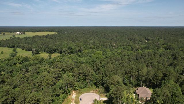 207 Sandpiper Drive, New Waverly, TX 77358