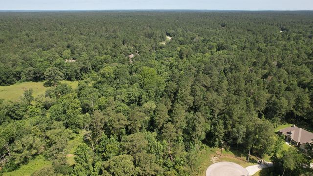 207 Sandpiper Drive, New Waverly, TX 77358