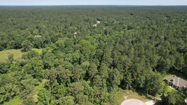 207 Sandpiper Drive, New Waverly, TX 77358