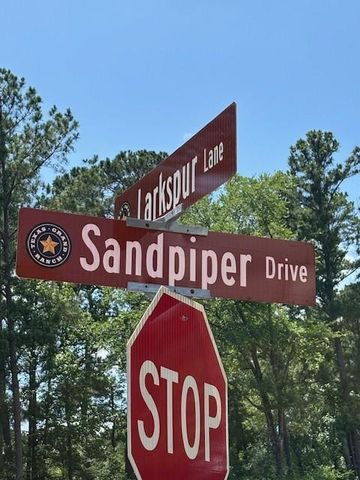 207 Sandpiper Drive, New Waverly, TX 77358