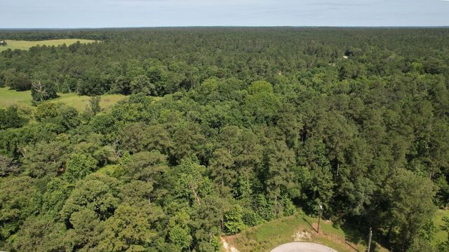 207 Sandpiper Drive, New Waverly, TX 77358