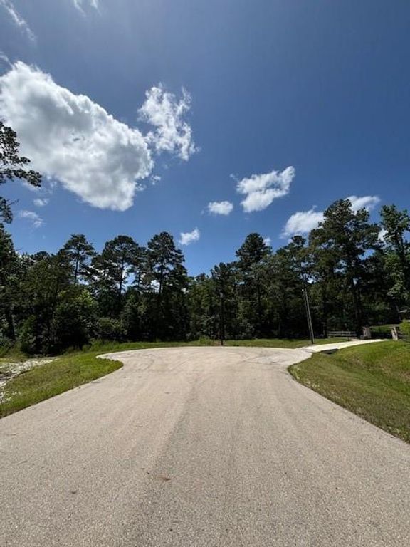 207 Sandpiper Drive, New Waverly, TX 77358