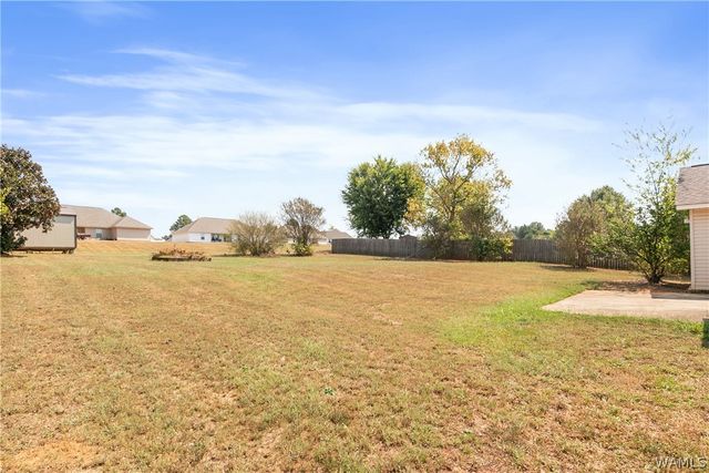 231 Ann, Moundville, AL 35474