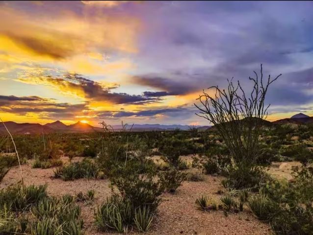 122 Dark Canyon Loop, Terlingua, TX 79852