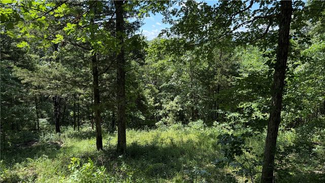 2710 NC 2847, Marble Falls, AR 72648