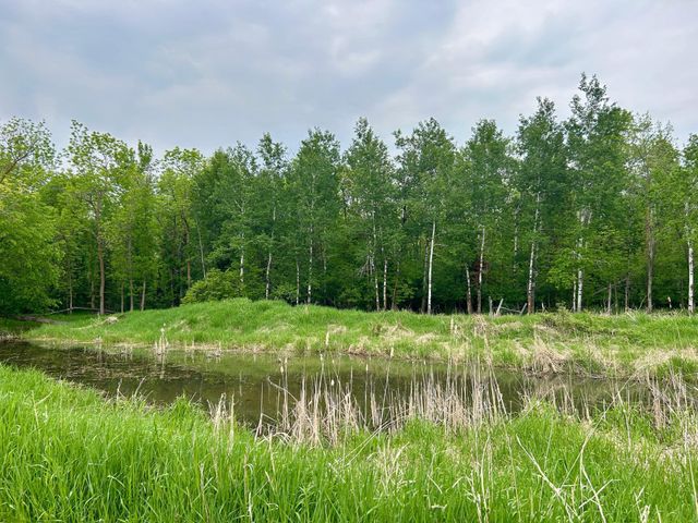 10696 Leaf River Road, Leaf River Twp, MN 56482
