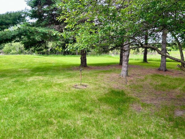10696 Leaf River Road, Leaf River Twp, MN 56482