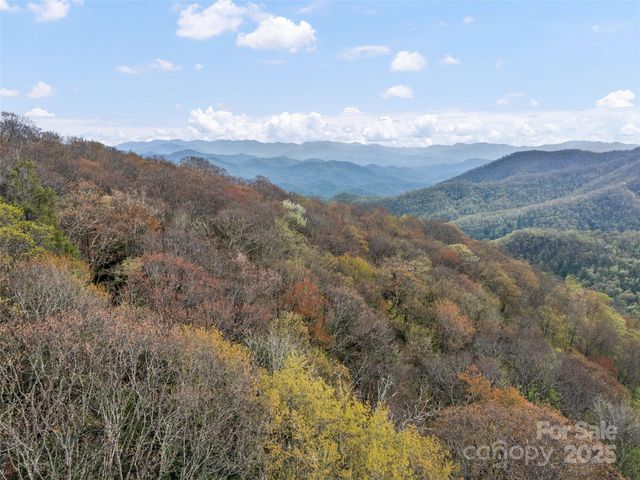 00 Blue Ridge Parkway, Sylva, NC 28779
