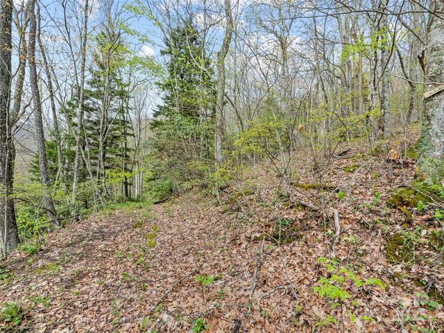 00 Blue Ridge Parkway, Sylva, NC 28779