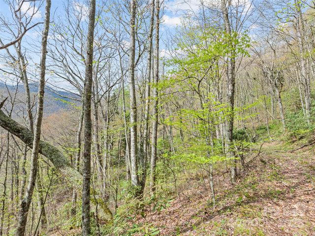 00 Blue Ridge Parkway, Sylva, NC 28779