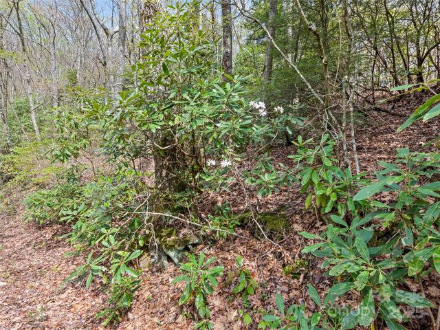 00 Blue Ridge Parkway, Sylva, NC 28779