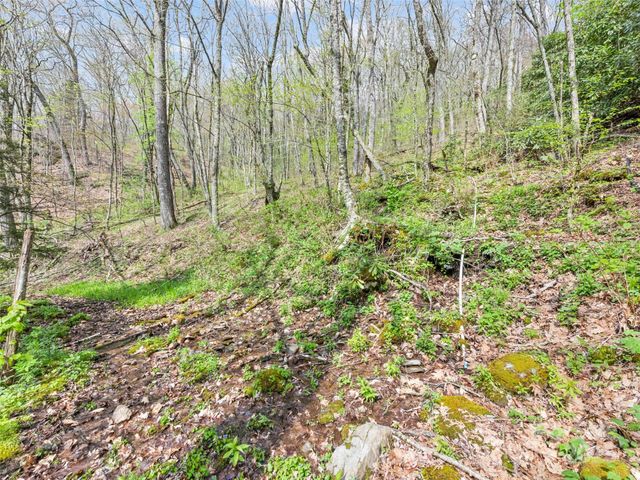 00 Blue Ridge Parkway, Sylva, NC 28779