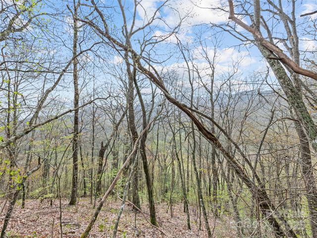 00 Blue Ridge Parkway, Sylva, NC 28779