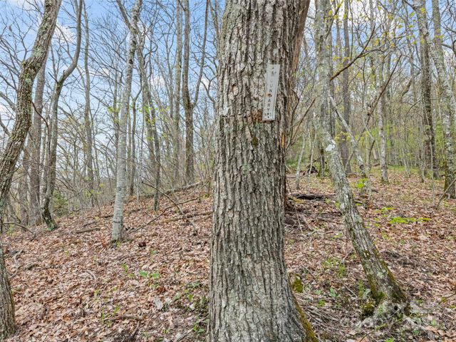 00 Blue Ridge Parkway, Sylva, NC 28779