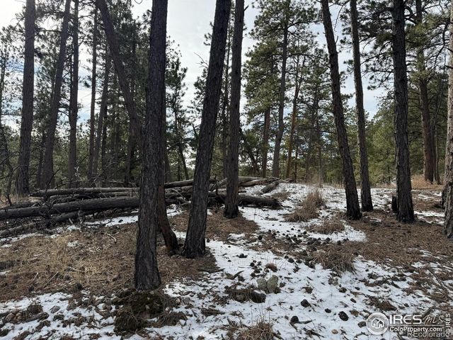 0 Davis Ranch Road, Bellvue, CO 80512
