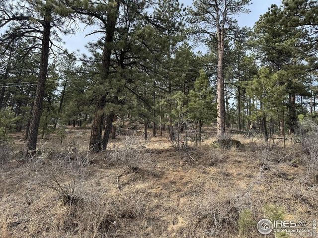 0 Davis Ranch Road, Bellvue, CO 80512