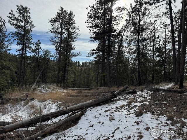 0 Davis Ranch Road, Bellvue, CO 80512