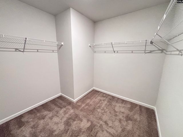 410 Eclipse Lane, Elgin, SC 29045