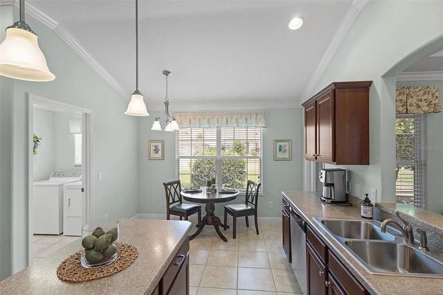 1140 EUREKA MILL RUN, The Villages, FL 32162