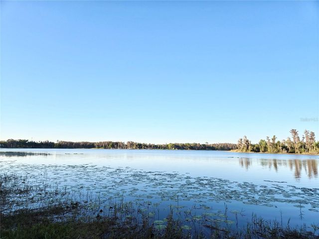 DEBUEL ROAD, Lutz, FL 33549