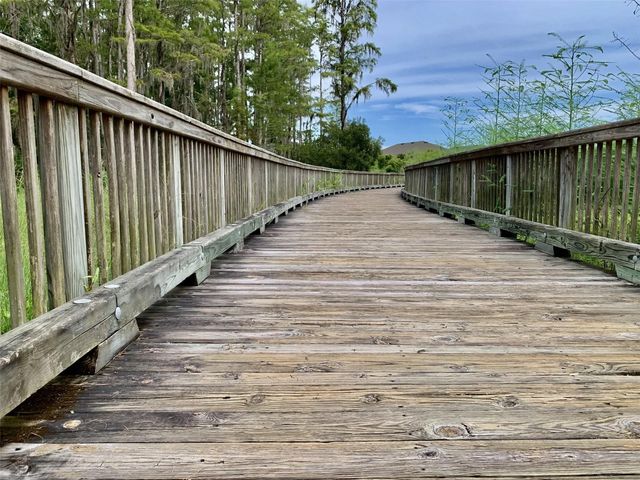 14501 PROMENADE PARKWAY, Odessa, FL 33556