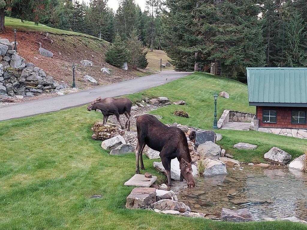 17274 / 17276 Bull Lake Road, Troy, MT 59935 photo 64