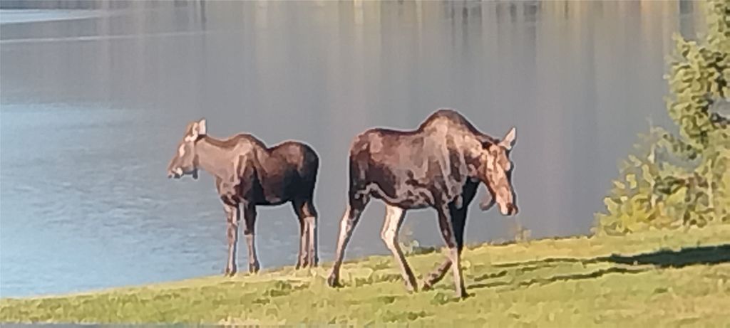 17274 / 17276 Bull Lake Road, Troy, MT 59935 photo 75