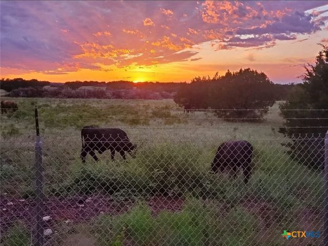 4501 Lauren Mackenzie Drive, Killeen, TX 76549