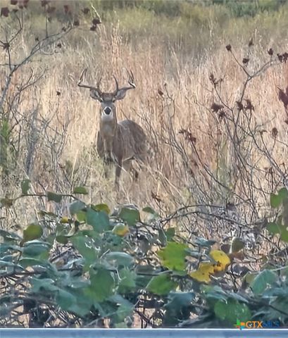 4501 Lauren Mackenzie Drive, Killeen, TX 76549