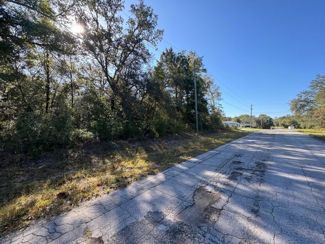 10241 N HALSEY WAY, Dunnellon, FL 34434