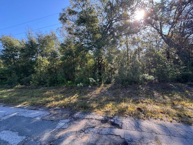 10241 N HALSEY WAY, Dunnellon, FL 34434