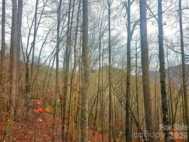0 Quiet Cove Road 7,11,12,14,15, Sylva, NC 28779