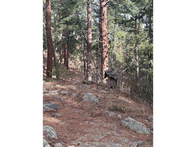 3137 Meadow View Rd, Evergreen, CO 80439