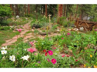 3137 Meadow View Rd, Evergreen, CO 80439