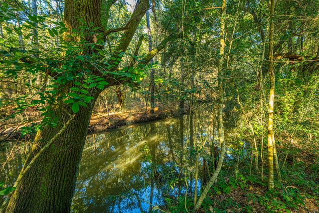 1063 S Pinckney Street, Mcclellanville, SC 29458