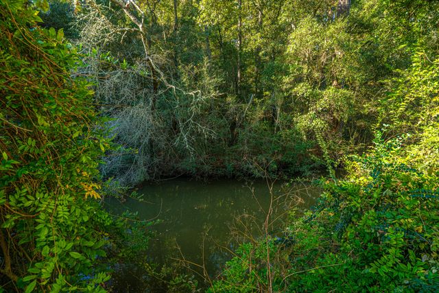 1063 S Pinckney Street, Mcclellanville, SC 29458