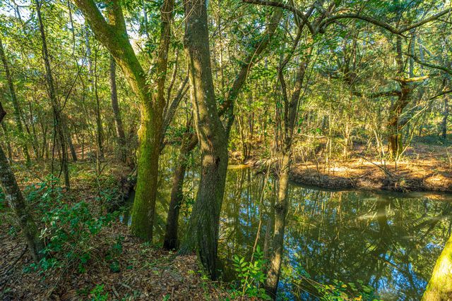 1063 S Pinckney Street, Mcclellanville, SC 29458