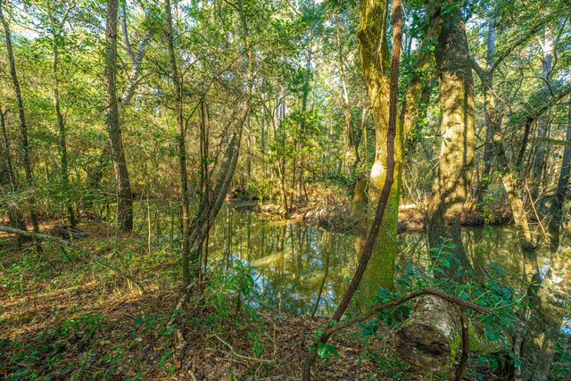 1063 S Pinckney Street, Mcclellanville, SC 29458