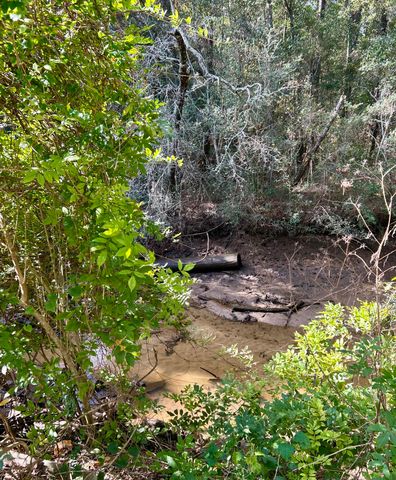 1063 S Pinckney Street, Mcclellanville, SC 29458