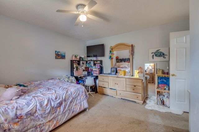 437 Neal Drive, Bluff City, TN 37618