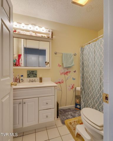437 Neal Drive, Bluff City, TN 37618
