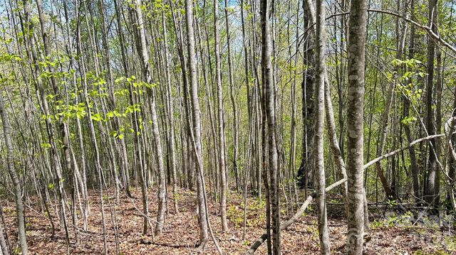 0000 Oat Field Road 5B, Tuckasegee, NC 28783