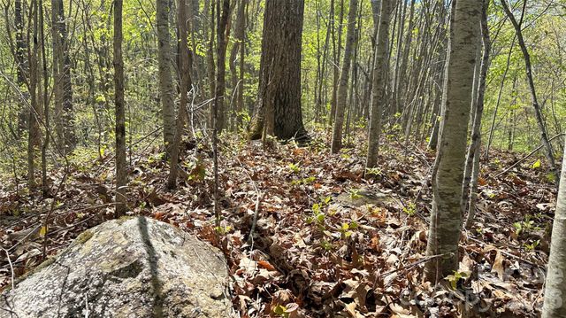 0000 Oat Field Road 5B, Tuckasegee, NC 28783