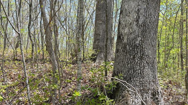 0000 Oat Field Road 5B, Tuckasegee, NC 28783