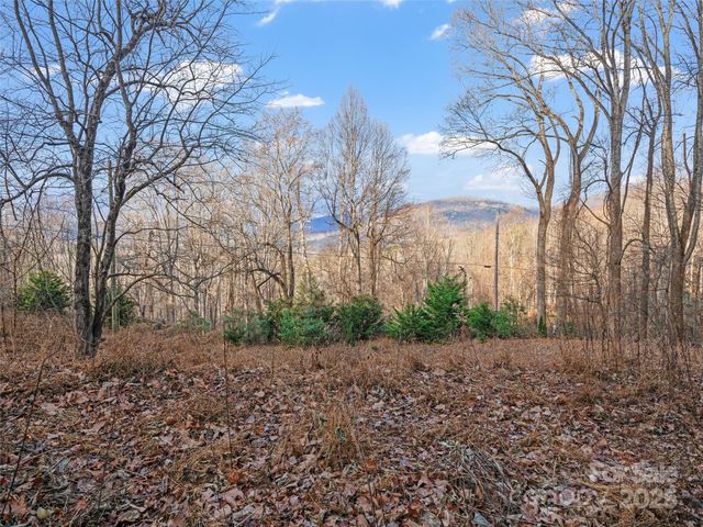 99999 Flora Rose Trail, Asheville, NC 28803