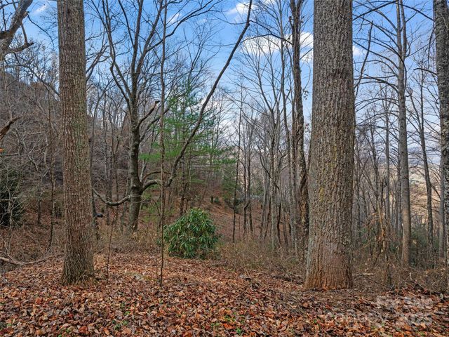 99999 Flora Rose Trail, Asheville, NC 28803