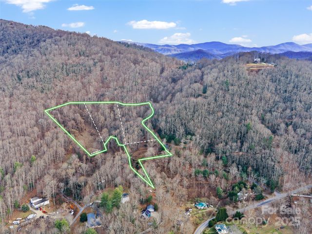 99999 Flora Rose Trail, Asheville, NC 28803