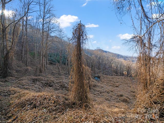 99999 Flora Rose Trail, Asheville, NC 28803